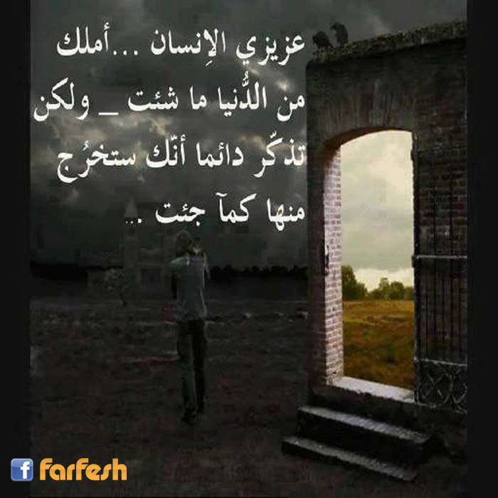 ���� �� ����� ��� ���� ������ 