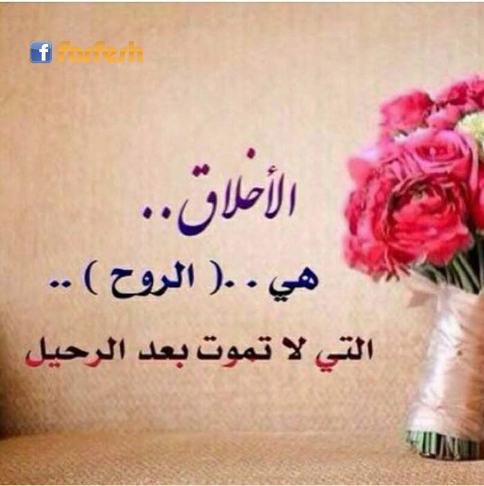 ���� ����� ���� ���