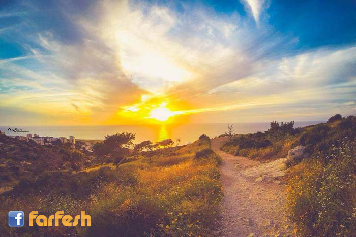 �� ���� ��� ������� ��� ������