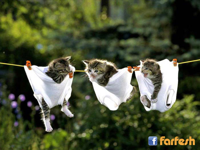 !!! ������ ��� ���