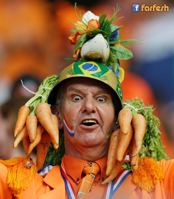 ��� ���� �������� ����� �� ��������