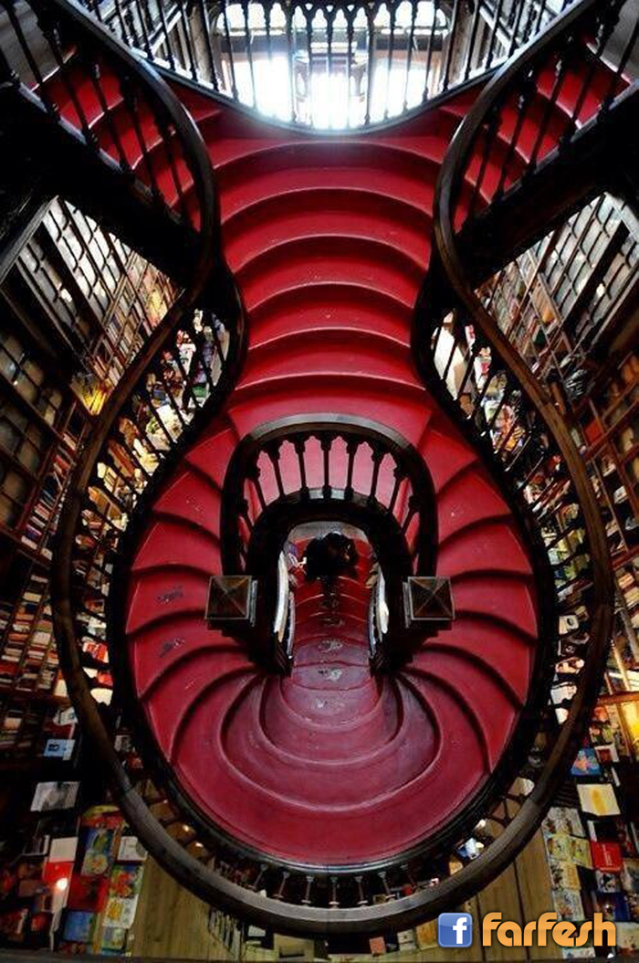 �� ������ �� ���� ������ ����� ���� �� �����