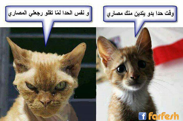 ������ ���