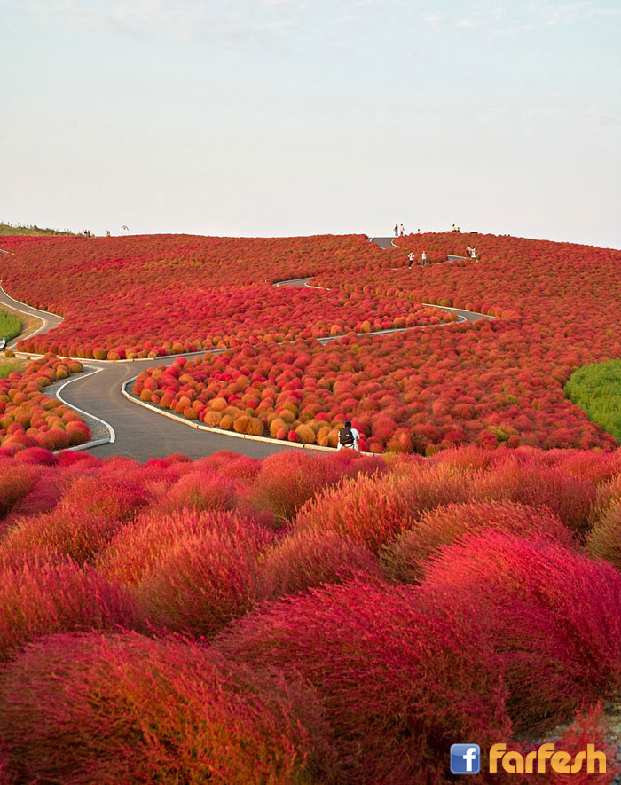 �� ���� ����� �������