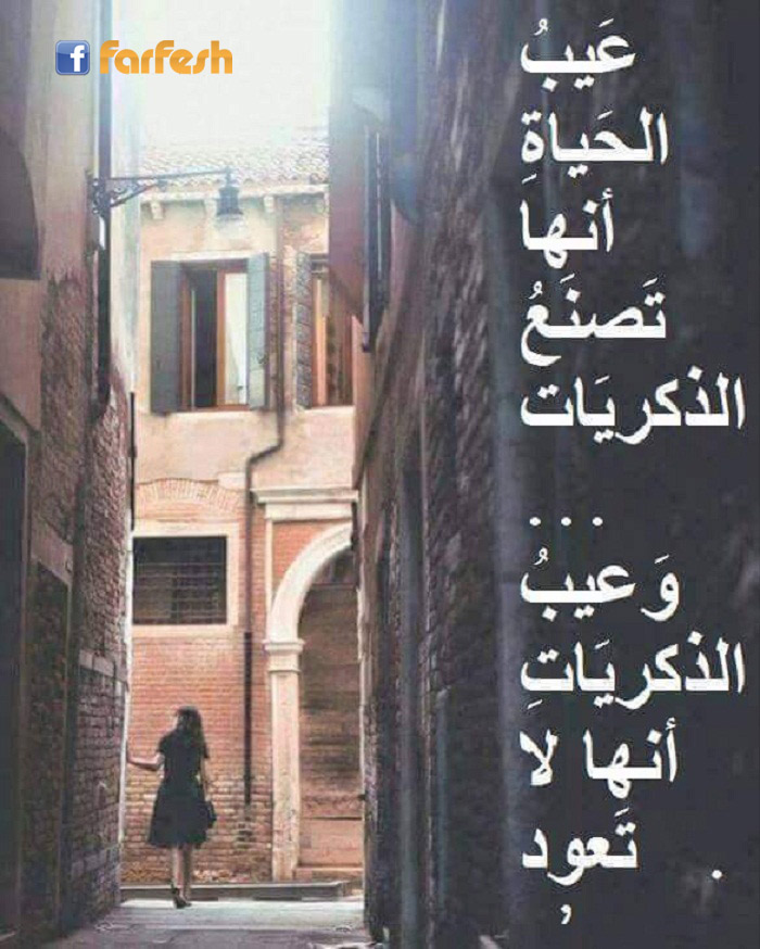 �������� ���� ������