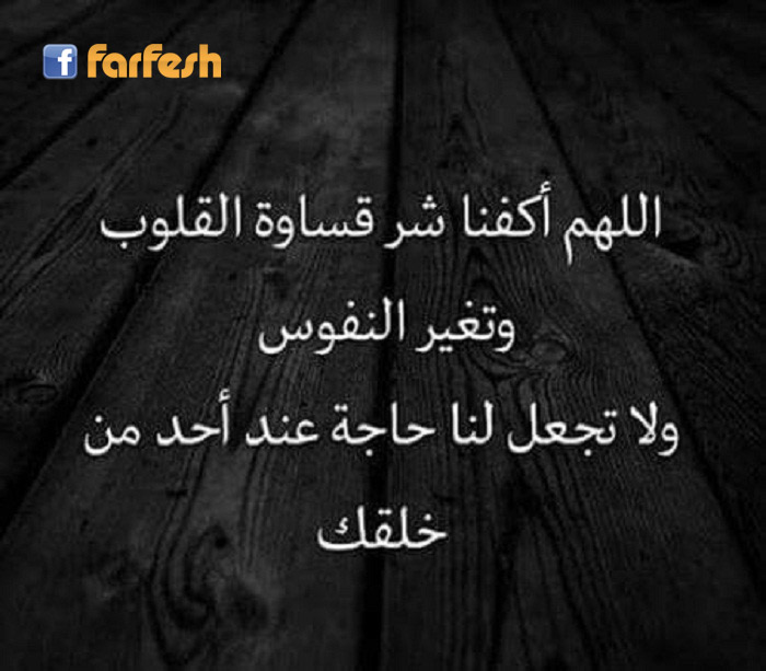 ��� ������ �����