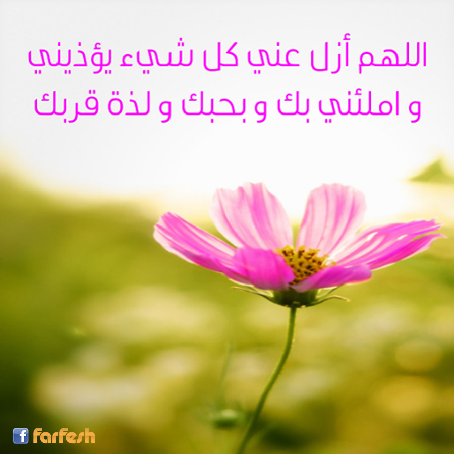 ���� ���� ����� ������