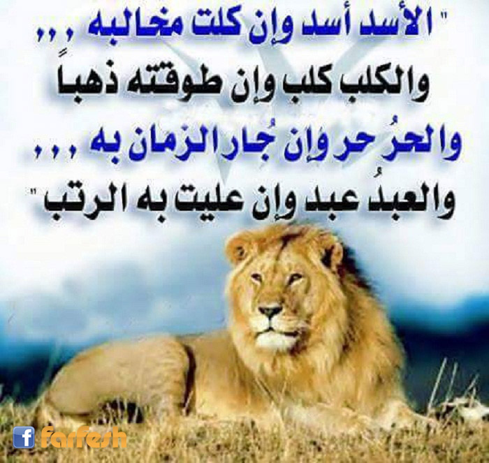 ����� ��� ��� ��� ������