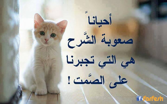 ���� ���� �����