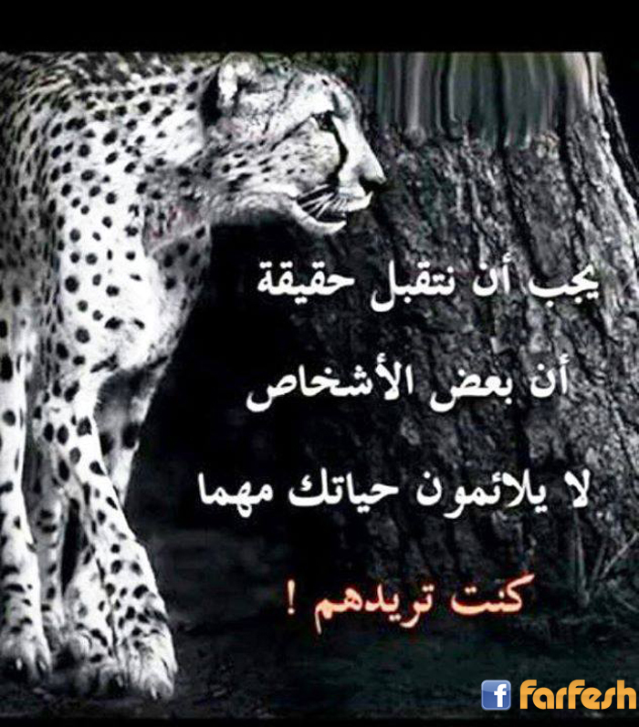 ������� �� 100%