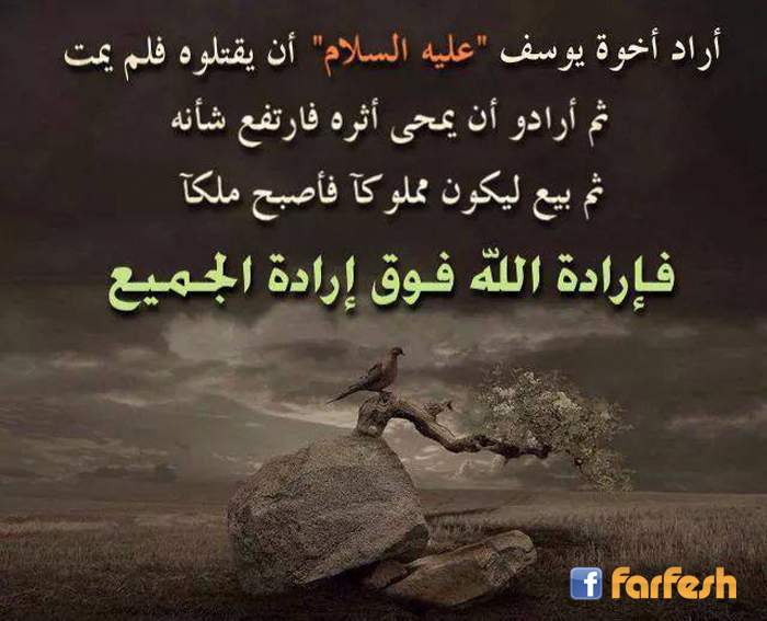 ����� ���� ��� ����� ������