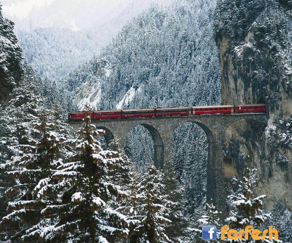 ���� ���� ����� ����