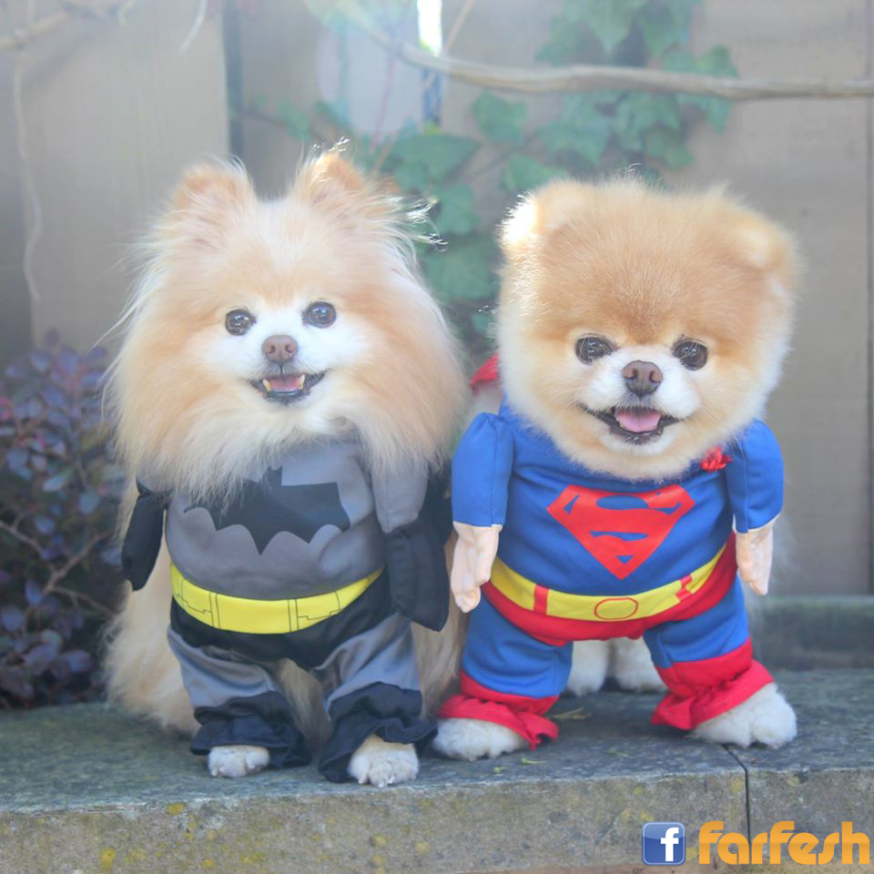 ���� ������� :-)