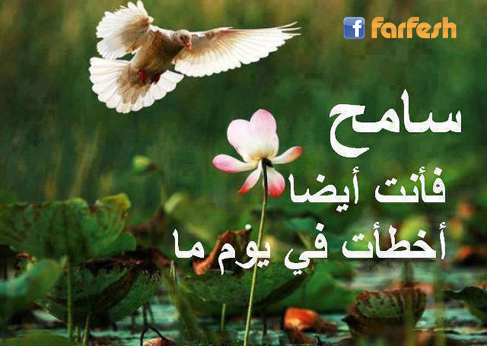 ���� ��� ���� ���� ����