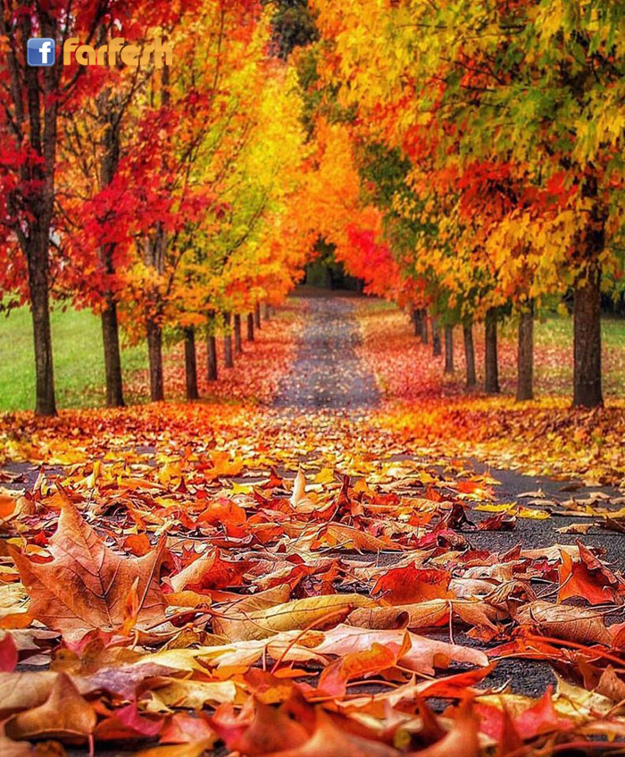 ���� ����� �� ��� ������