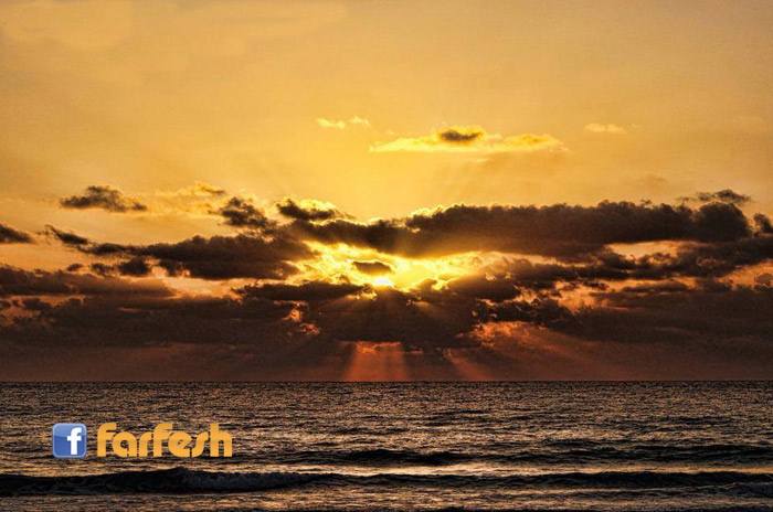 ��� �� ����  ������� ����