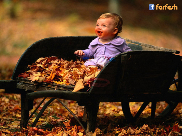 ������ ������� ��������