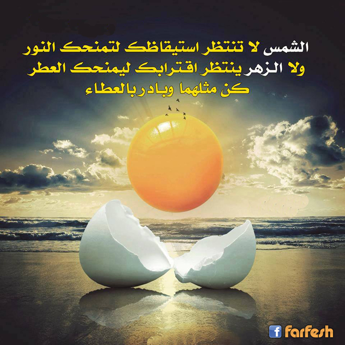 �� ������ ������� ���� �������  