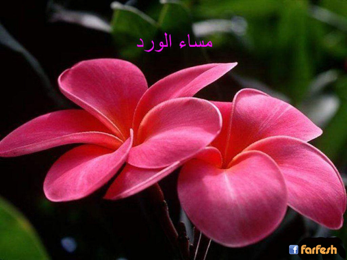 ���� ���� ����� ����