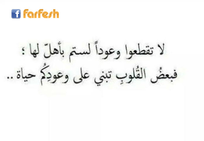 ��� ���� ��� ����