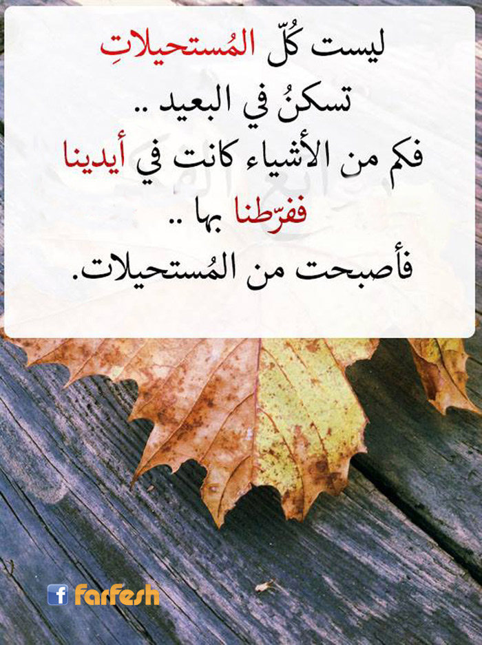 ����� ���� ������� ���� ������