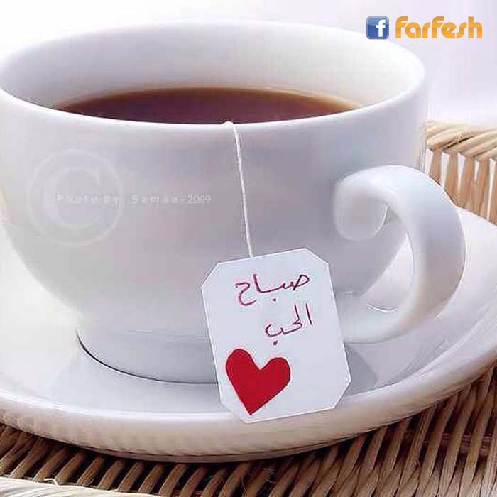 ���� ����