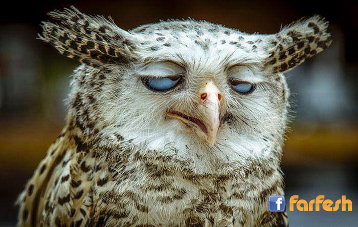 ������ �� ����