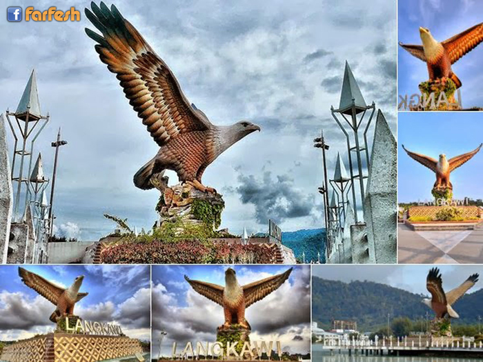 �� ����� ������ ���������