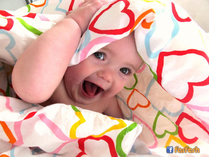 ���� ����� ������� ������ ������