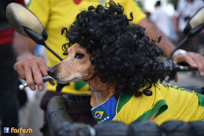 ��� �� ����� ����� ��������