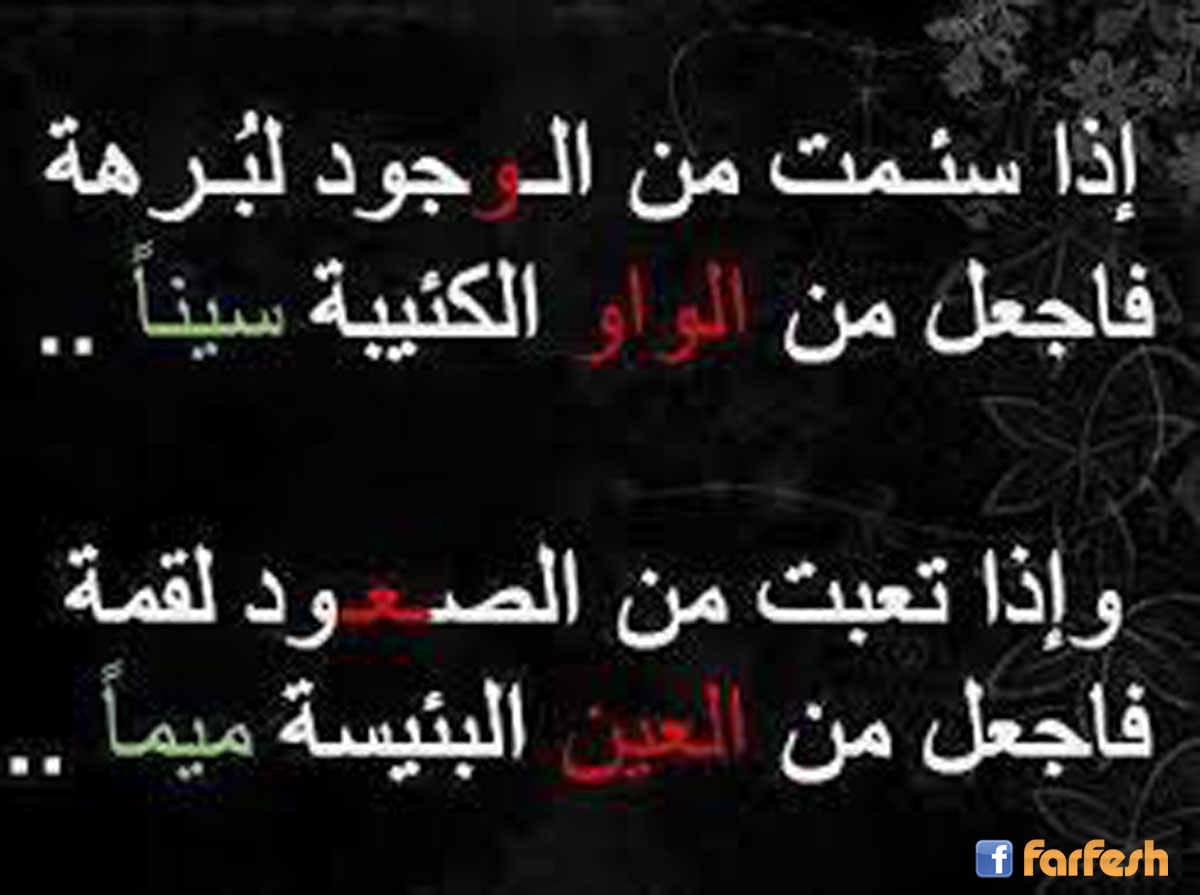 �� ��� �� ������ ��� ���� �� �����