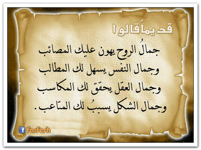 ���� ����� ���� ���� �������