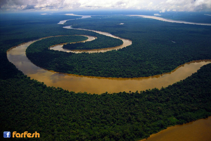 ��� ��������