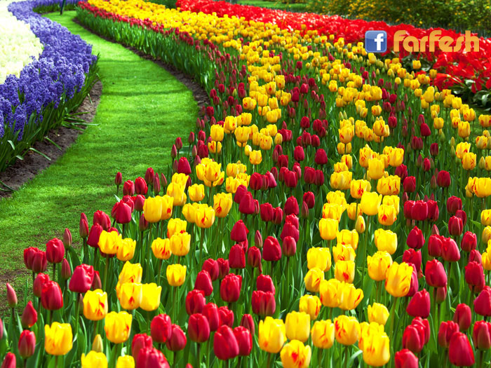 ����� �������