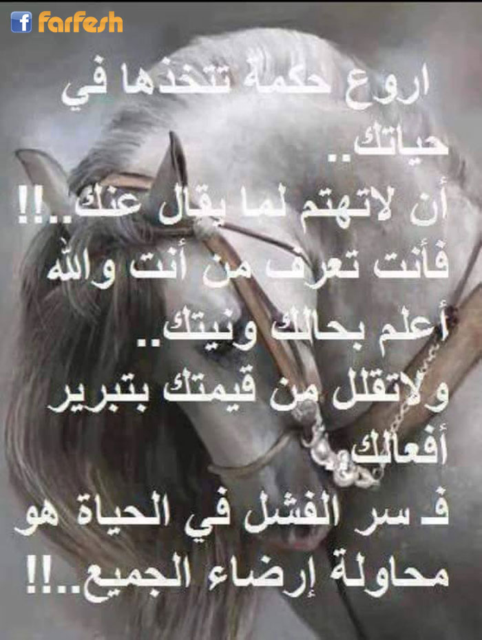 �� ���� ��� ���� ��� ...