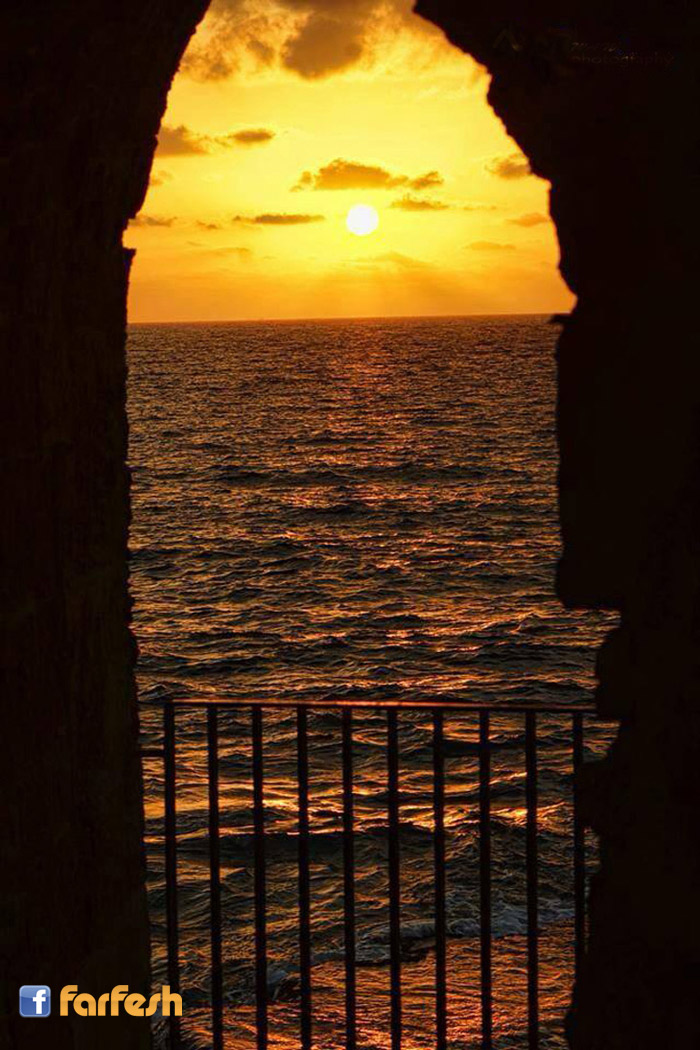 ��� ���� �� ����� �������