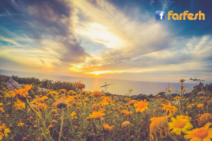 ��� ���� ��� ������ �