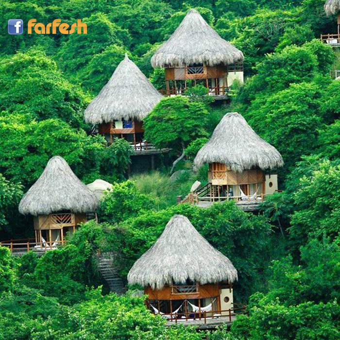 ��� ��� ���� ���� ��� ����