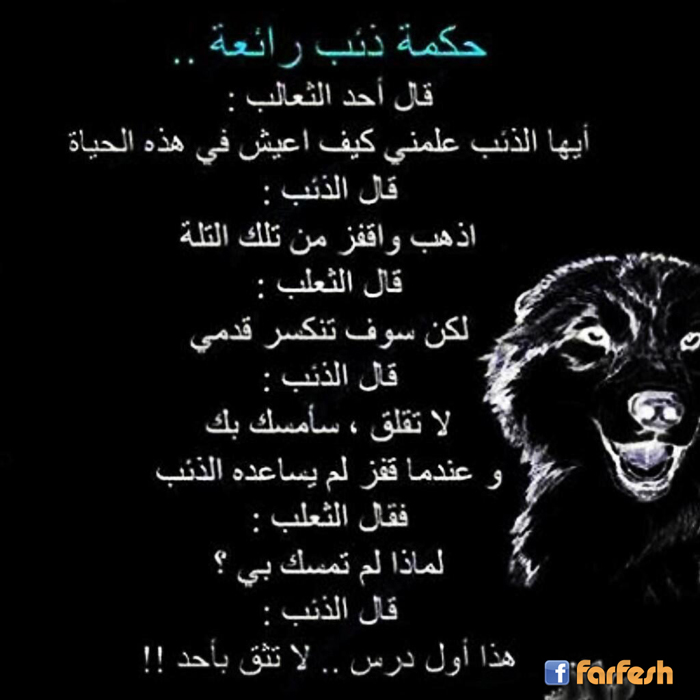 ���� ��� �����