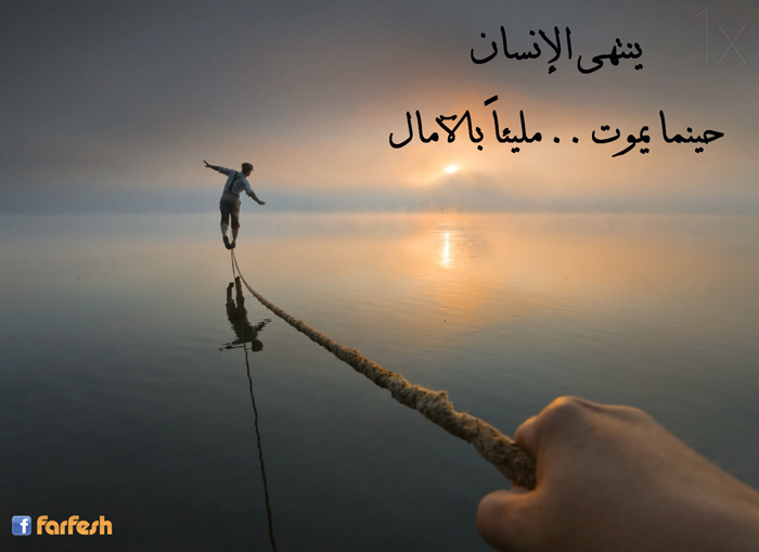 ���� ������� ����� ���� ����� ��� ������