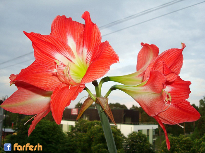 ����� ������ ������ ��� �� �� ���ߡ ���� �� ��� �� �����