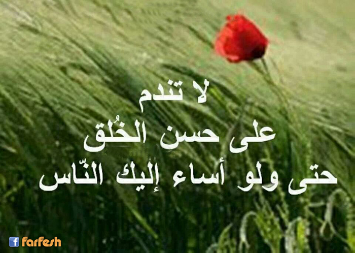 �� ���� ��� ��� �����  ��� �� ���� ���� �����