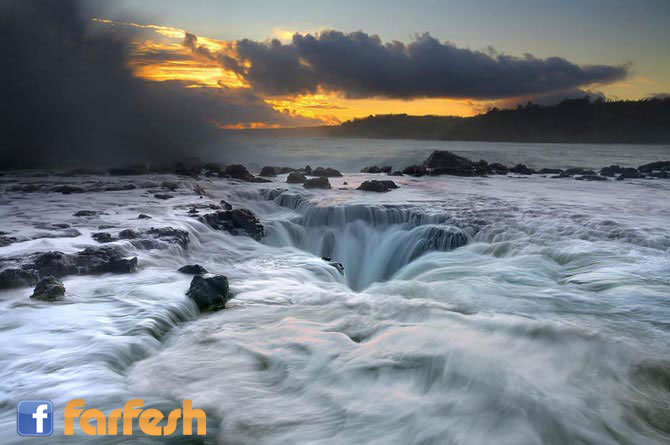 ���� ������� ������