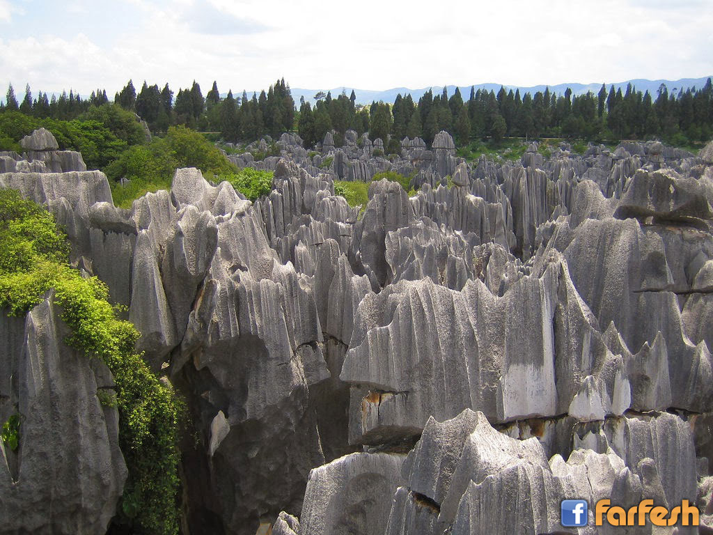 ���� �� ��� ������