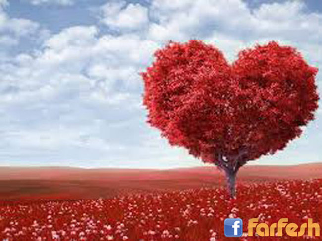 ���� �� ���� �� ���� ����� ���� ��� ������