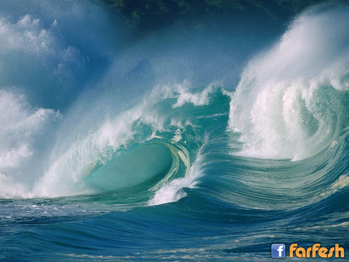 ����� ����� ������ ������