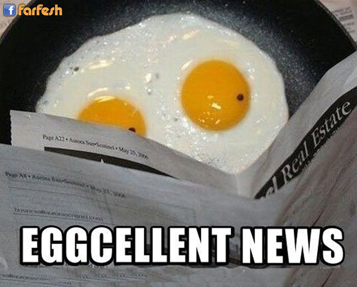 ���� �����