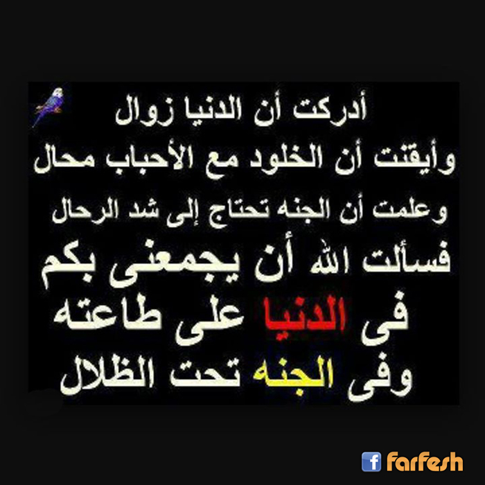 ����� �� ������ ���� ������ �� ..