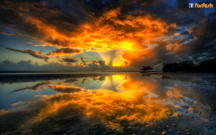 ������� ������� ����� ������