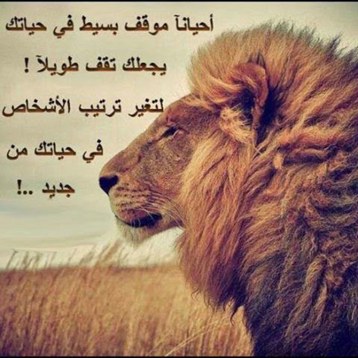 ������ ���� ���� ���� ���� �����